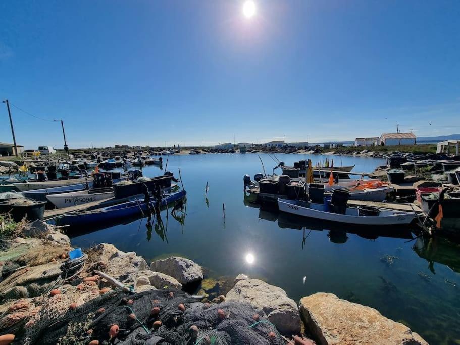 Location Appartement à Gruissan Méditérranée Exterior foto